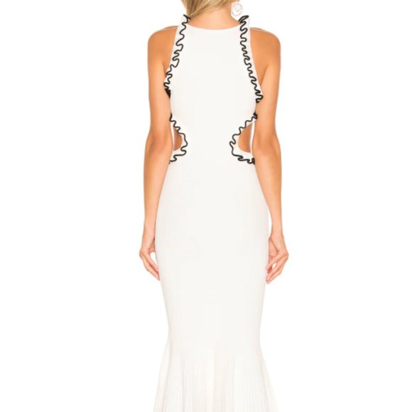 Ronny Kobo Daliah Dress from Revolve - Picture 3 of 4